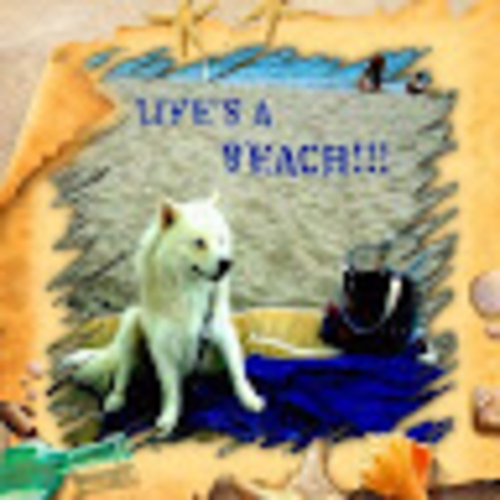 Meet your Posher, Diane